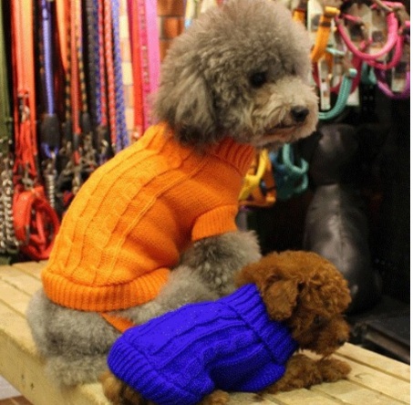 Dog sweater - Image 4