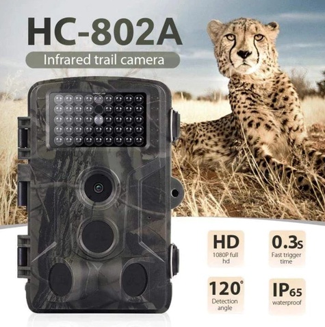 Wild hunting camera - Image 10